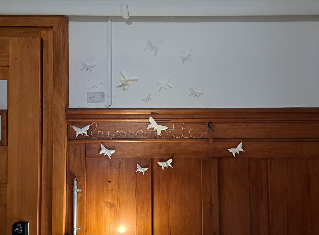 Schmetterlingsfaltungen an der Wand