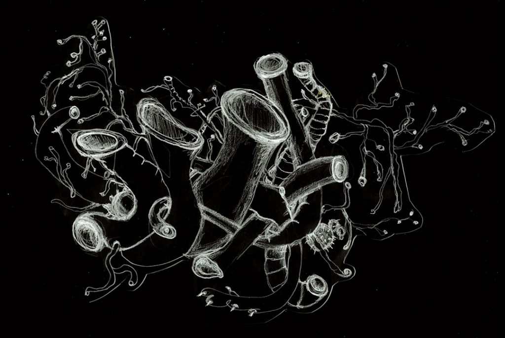 Schwarz-Weiß-Zeichnung mit pflanzen- und tierählichen Elementen, die miteinander verschlungen sind. Methapher für lautes Grundrauschen