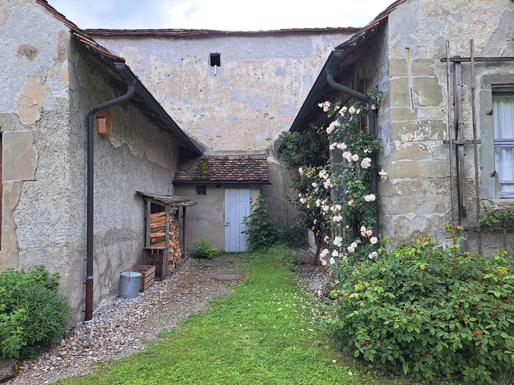 Kartause Ittingen: Stapel mit Feuerholze, rechts im Bild die Atelierklasue mit einem Rosenbusch