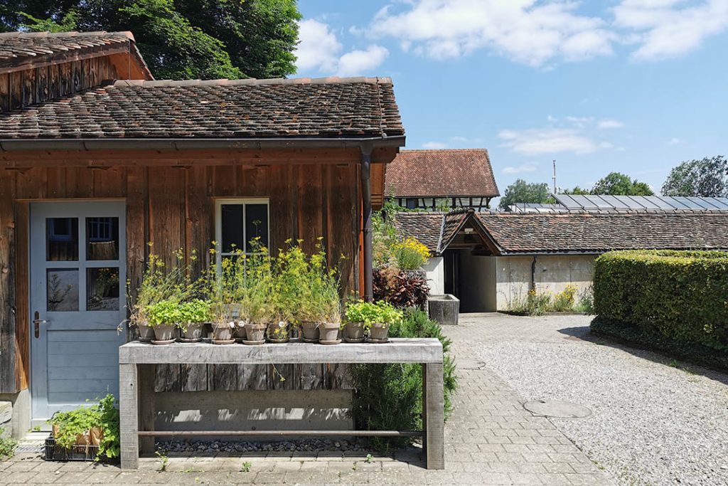 Kartause Ittingen: Impressionen aus der Gärtnerei (Kräuter vor Schuppen)